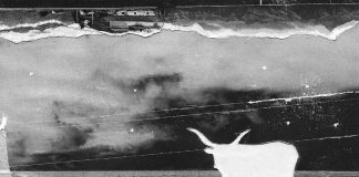 Alberto Cipolla nuovo disco Torino