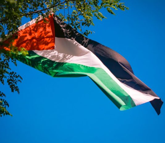 corteo per gaza carmagnola