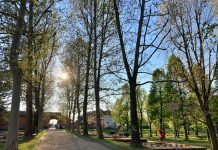 cancelli parco cascina vigna carmagnola