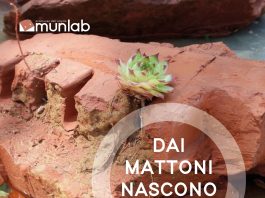 Festival degli archivi Munlab