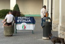 polemica marrone vesta carmagnola insieme fratelli d'italia