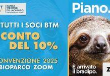 convenzione btm zoom