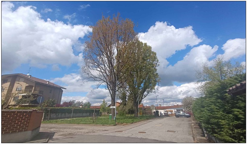 Nuova area verde e zona parcheggio a Piobesi Torinese