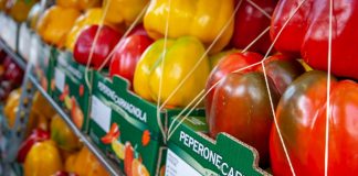 fiera del peperone domenica 31