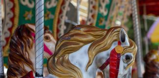 carmagnola luna park