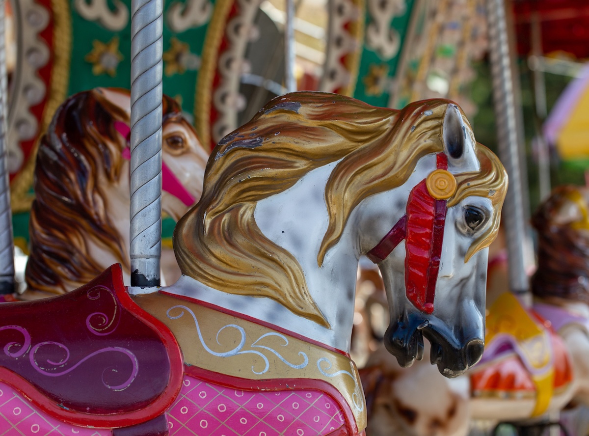 carmagnola luna park
