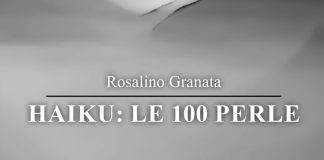 Rosalino Granata Haiku Carignano