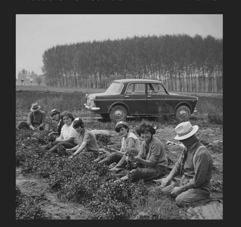 Intervista al pancalierese Franco Senestro in occasione delle mostre del Viverbe