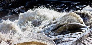 Racconigi Festival del Maira