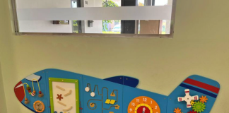 Aereoplanido Carmagnola