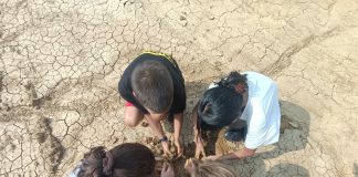 munlab settembre cambiano