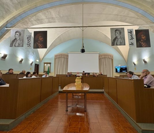 Carmagnola consiglio comunale