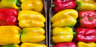 fiera del peperone domenica