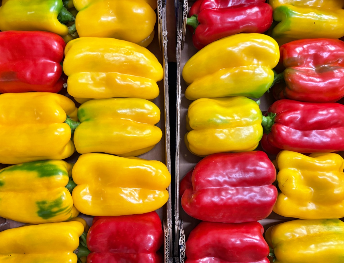 fiera del peperone domenica