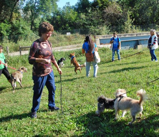 passeggiata a sei zampe