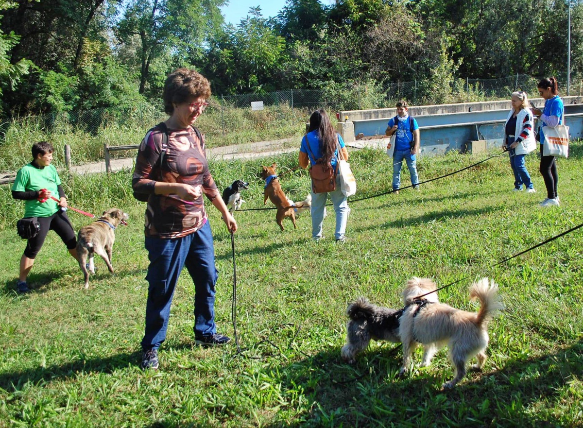 passeggiata a sei zampe