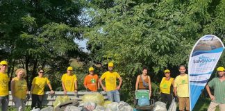 legambiente il platano