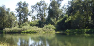 carmagnola riserva collinapo mab unesco