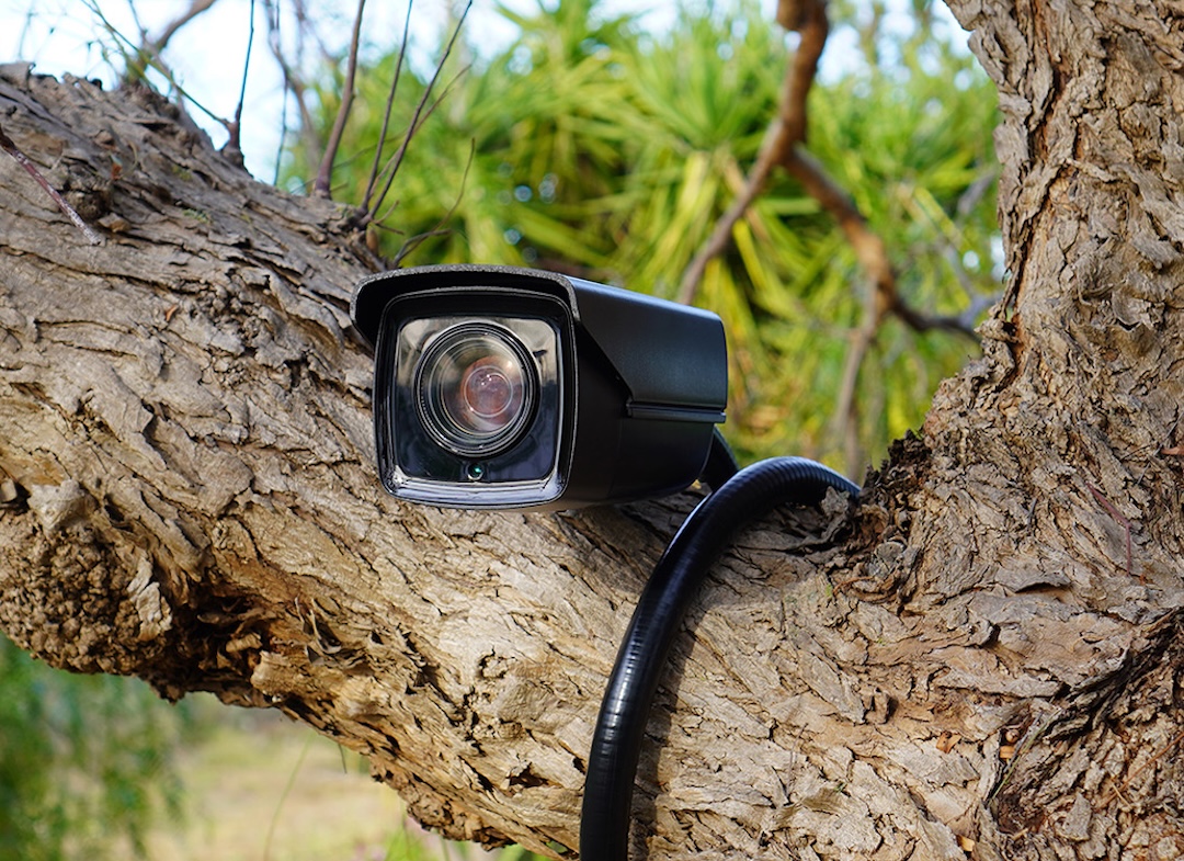 telecamere rifiuti carmagnola