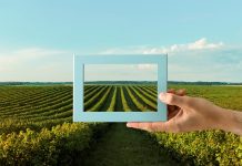 Villastellone: venerdì secondo appuntamento di “Agricinema”