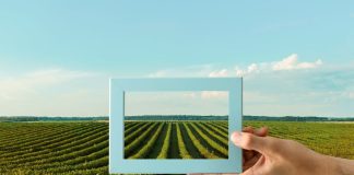 Villastellone agricinema