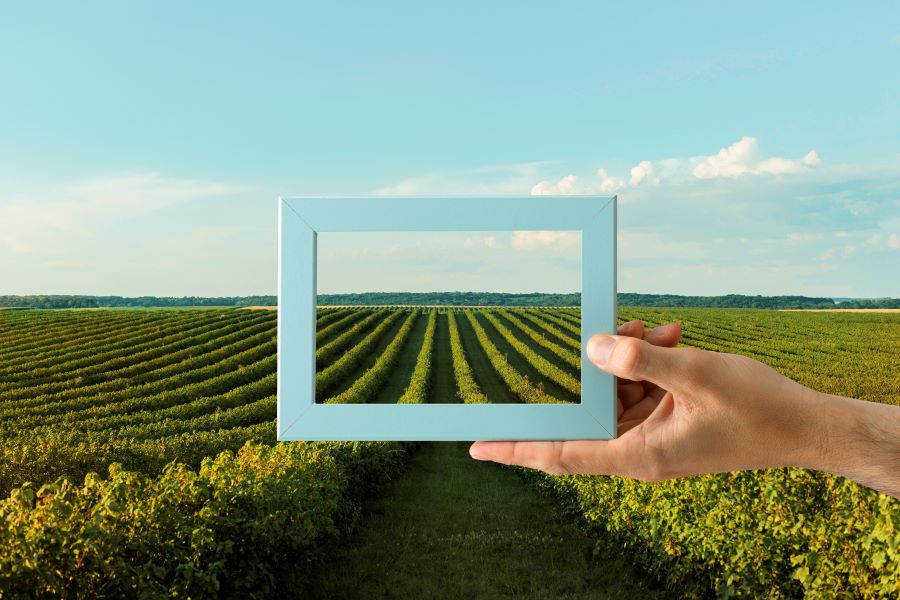 Villastellone: venerdì il terzo appuntamento della rassegna "Agricinema"