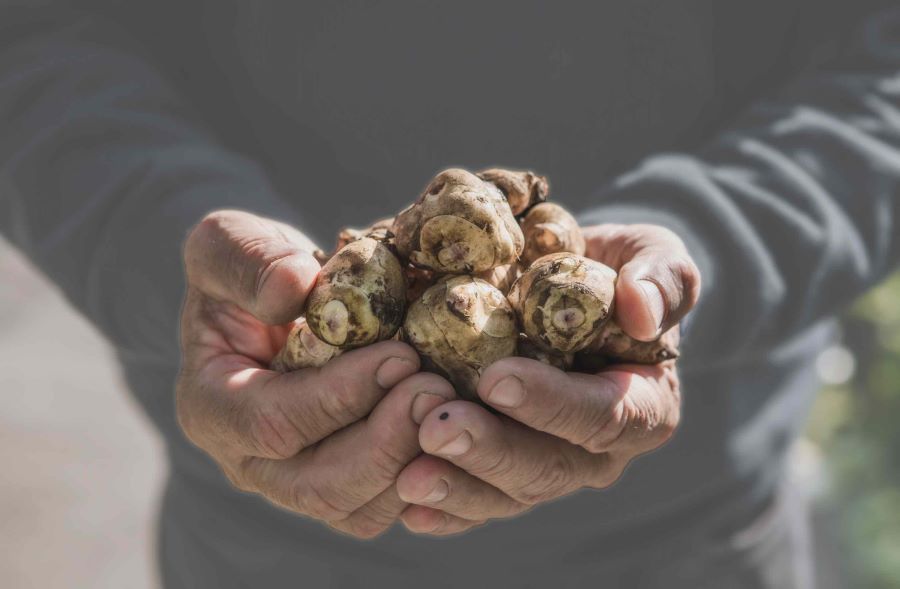 Sagra regionale del Ciapinabò di Carignano, il programma completo