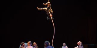 Il rischio del fenicottero