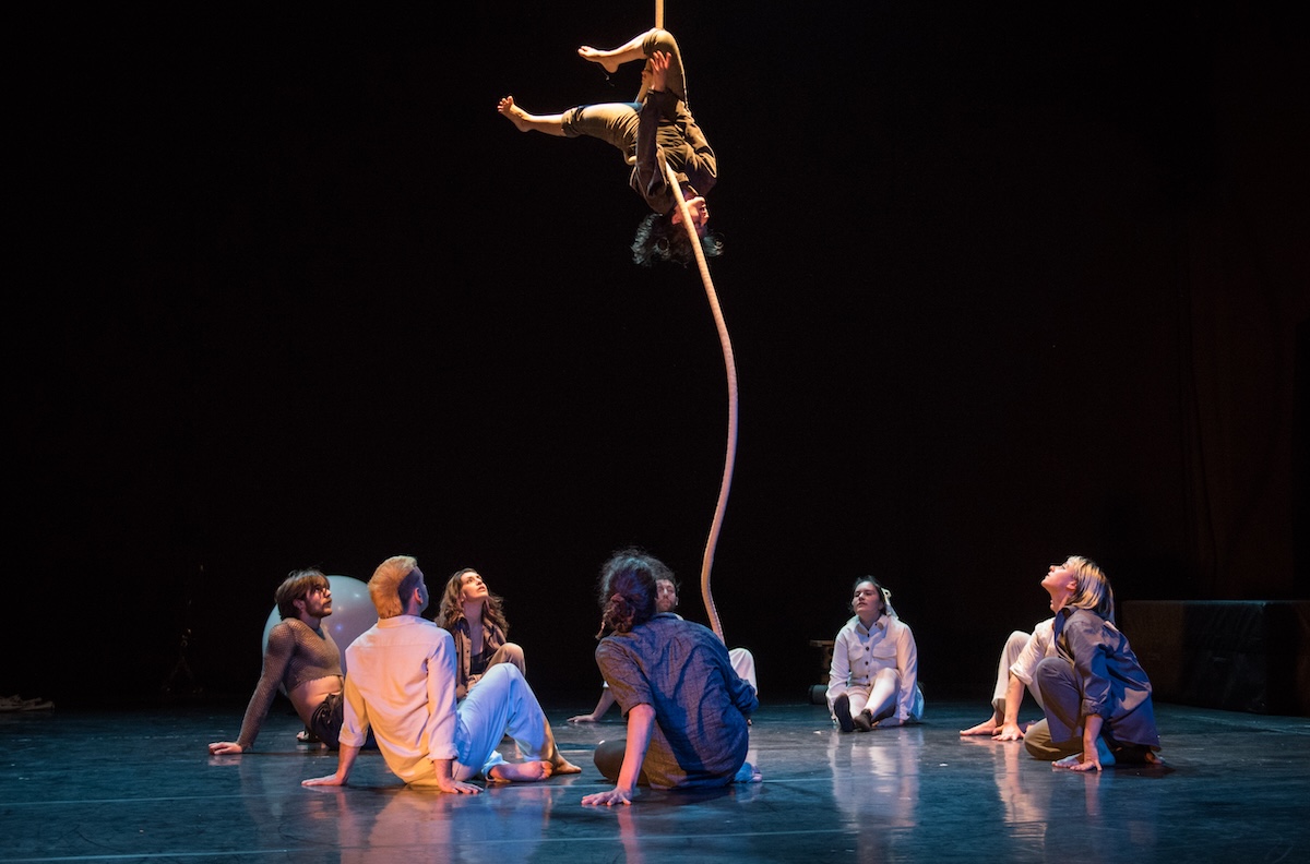 Il carmagnolese Francesco Sgrò firma "Il rischio del fenicottero"