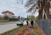 A Piobesi il primo intervento del nuovo gruppo “Piobesi Verde” Piobesi verde intervento
