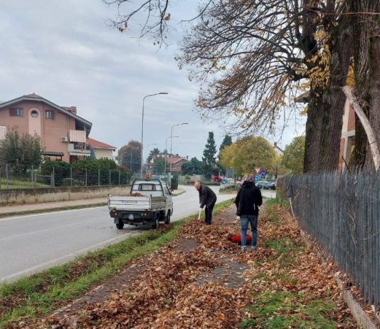 Piobesi verde intervento
