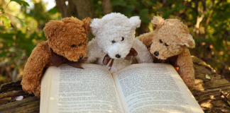 notte dei pupazzi santena