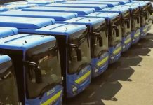 AVS torna alla carica sul taglio dei bus per i lavoratori tra Carmagnola e Torino bus carmagnola torino