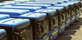 bus carmagnola torino