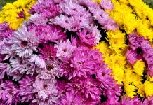 ognissanti e giorno dei morti