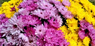 ognissanti e giorno dei morti