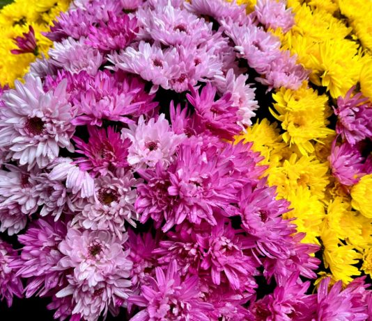 ognissanti e giorno dei morti