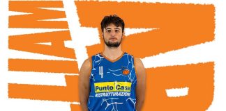 delfini basket carmagnola