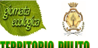 giornata ecologica piobesi
