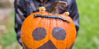 halloween a carmagnola