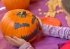 zucca di halloween a carmagnola 2025
