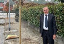 nuovi-alberi-racconigi