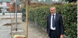 nuovi-alberi-racconigi