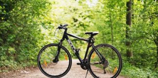 Bike & More Racconigi