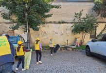 puliamo il mondo virle