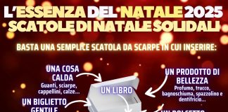 scatole solidali carmagnola