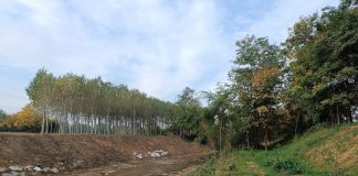 Banna Tepice Santena