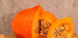 zucca Fiera Autunnale Santena