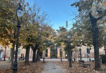 Fiera del Nespolo e della Zucca virle