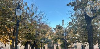 Fiera del Nespolo e della Zucca virle